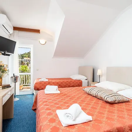 Hotel Dubrovnik 3*