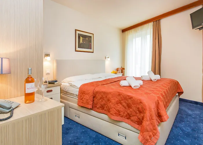 Hotel Dubrovnik Hotel 3*