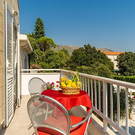 מלון Hotel Dubrovnik 3*