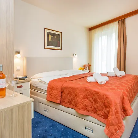 Hotel Dubrovnik מלון 3*